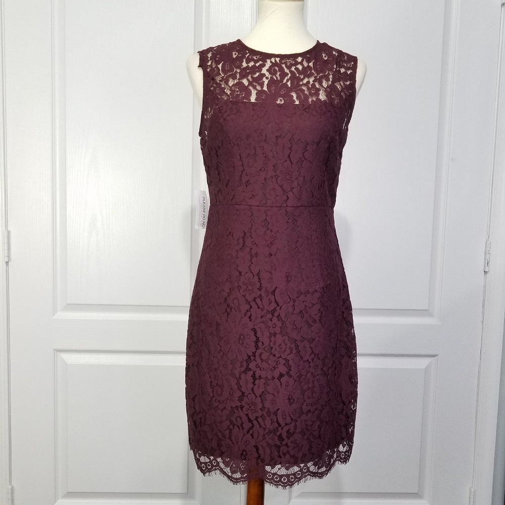 Eva Mendes Jackie Burgundy Lace Sheath Dress 4